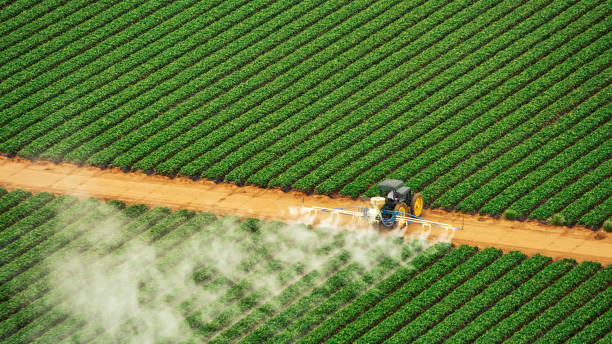 Best Pest Prevention Services  in Dalton, OH