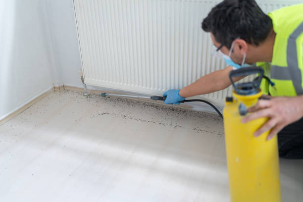 Reliable Dalton, OH Pest Control Solutions